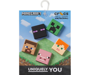 Minecraft 5 pack