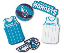 Load image into Gallery viewer, NBA Charlotte Hornets